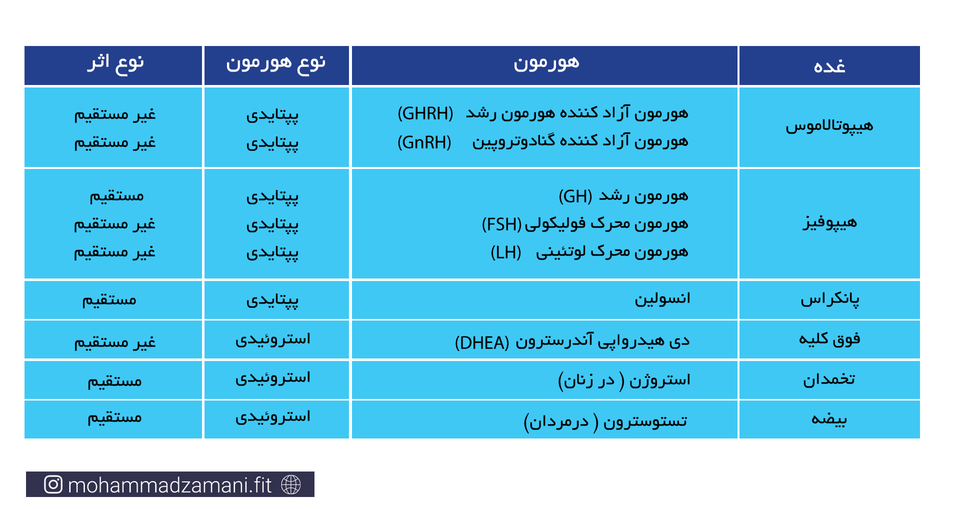 هورمون های درگیر در هایپرتروفی عضلانی