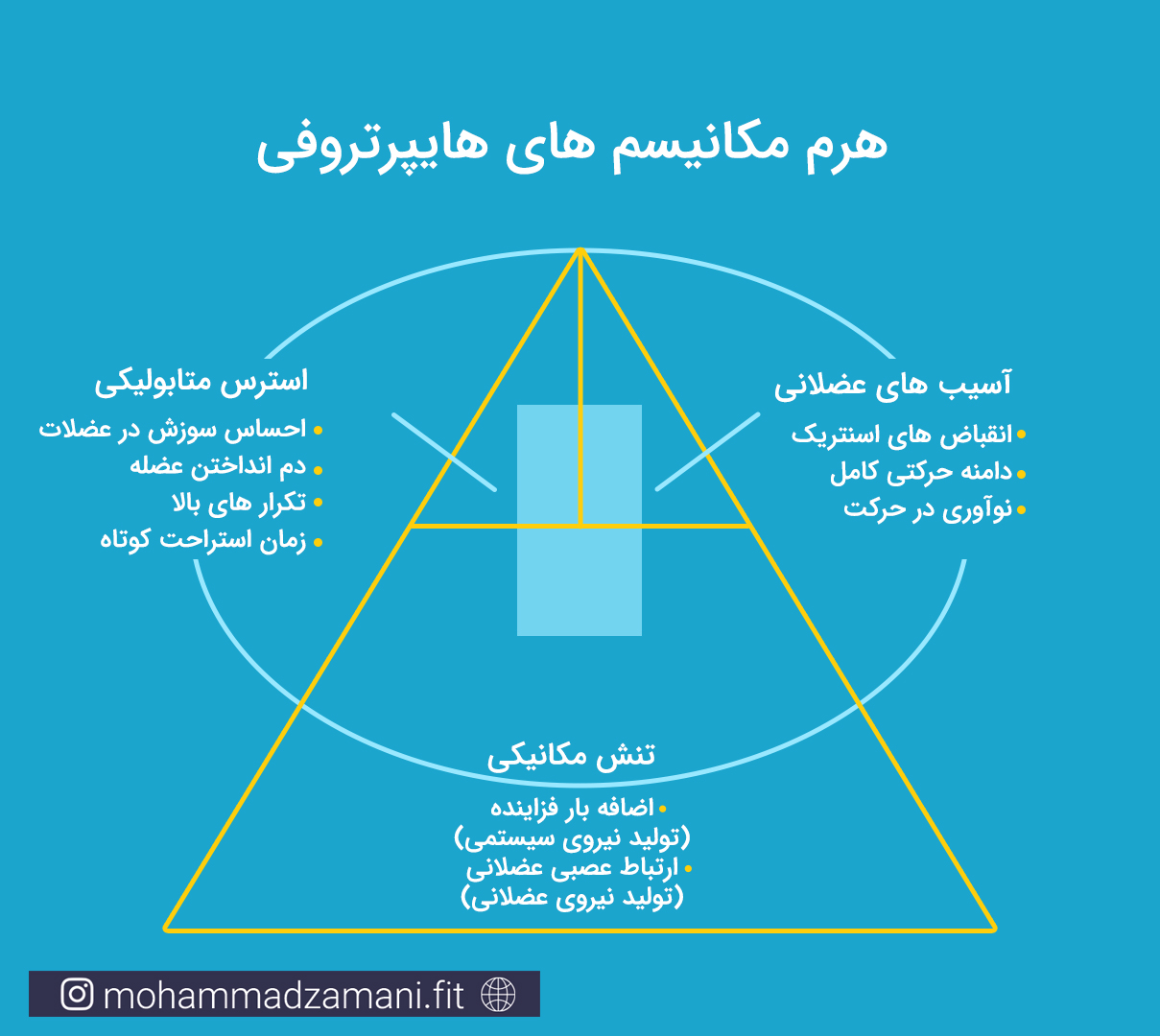 هرم مکانیسم های هایپرتروفی