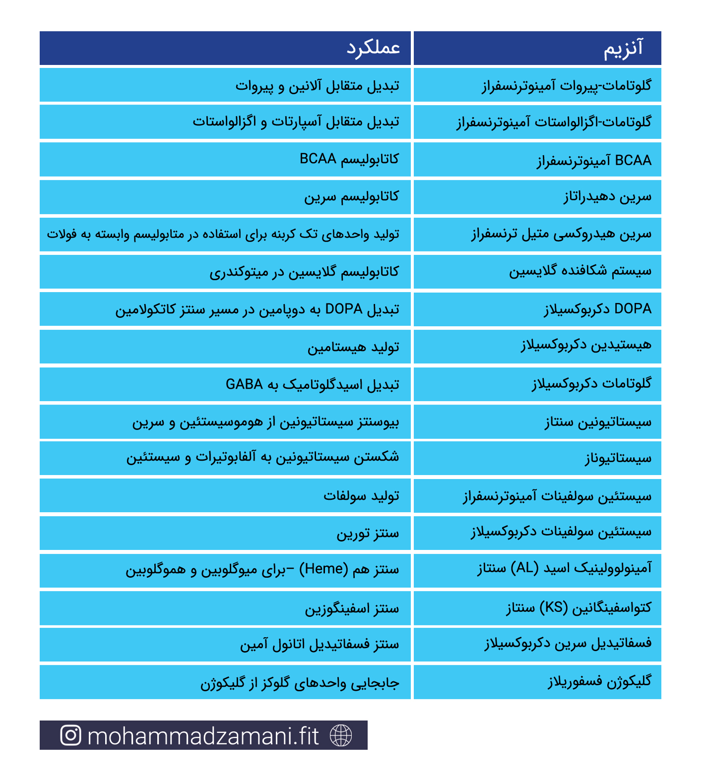 آنزیم¬های درگیر در عملکردهای مختلف درون سلول که ویتامین¬B6 نقش کوآنزیم را برای آن¬ها دارد (13).