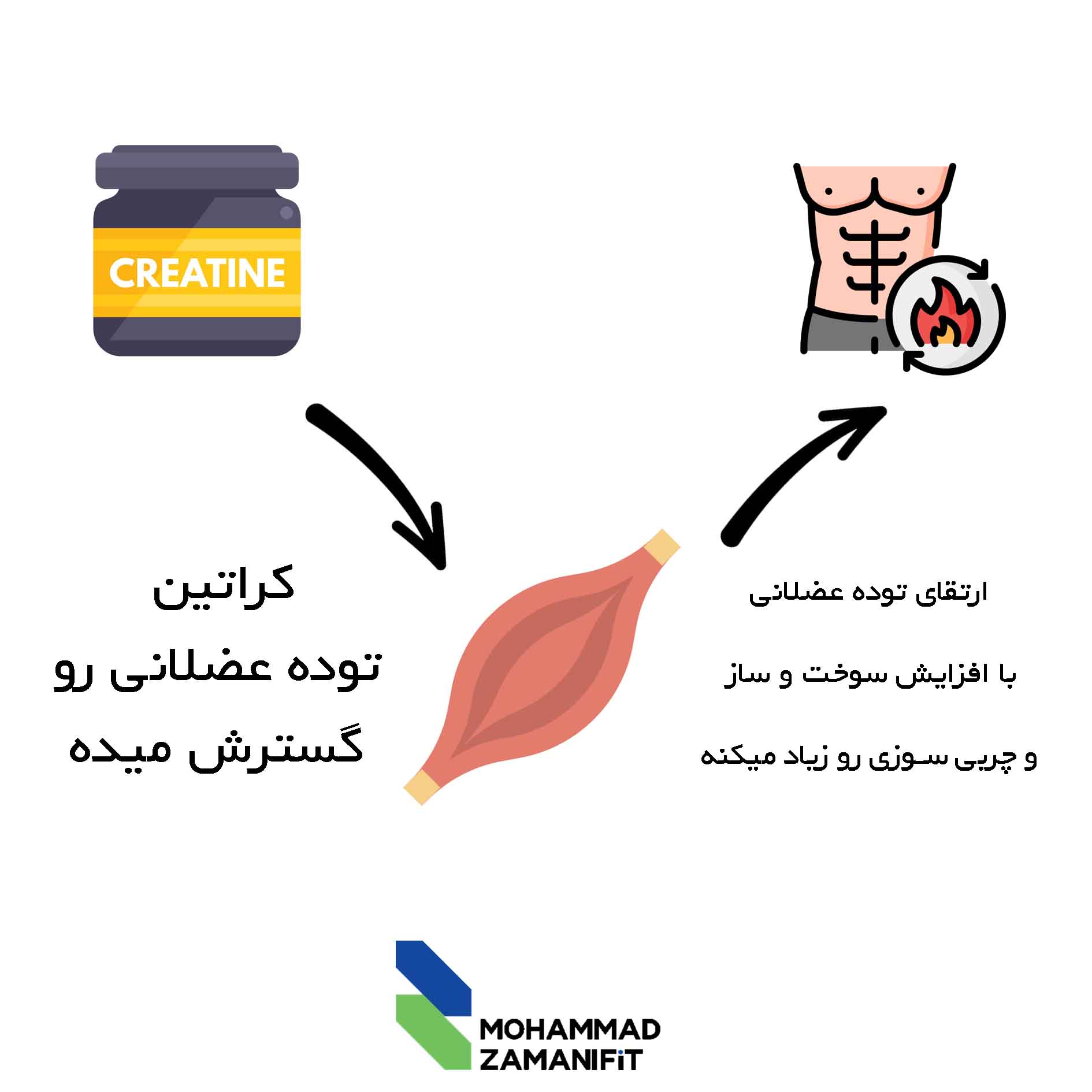 با افزایش توده عضلانی، کراتین برای لاغری موثر است.