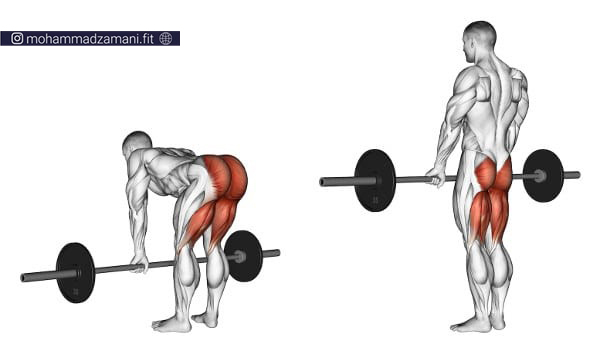 عضله هدف حرکت ددلیفت همسترینگ، سرینی (پشت پا و باسن) است.