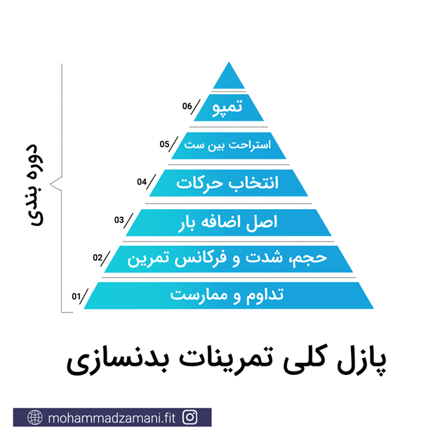 پازل کلی تمرینات بدنسازی