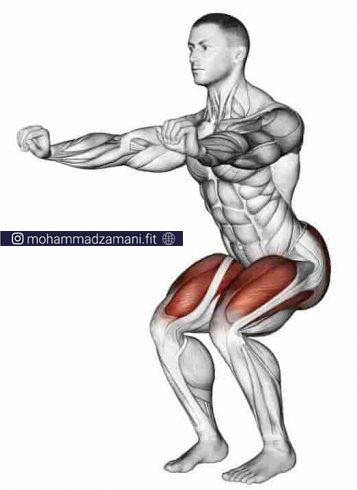 عضله هدف اسکوات همسرینگ، چهارسرران، سرینی (کل عضلات پا و باسن) است.