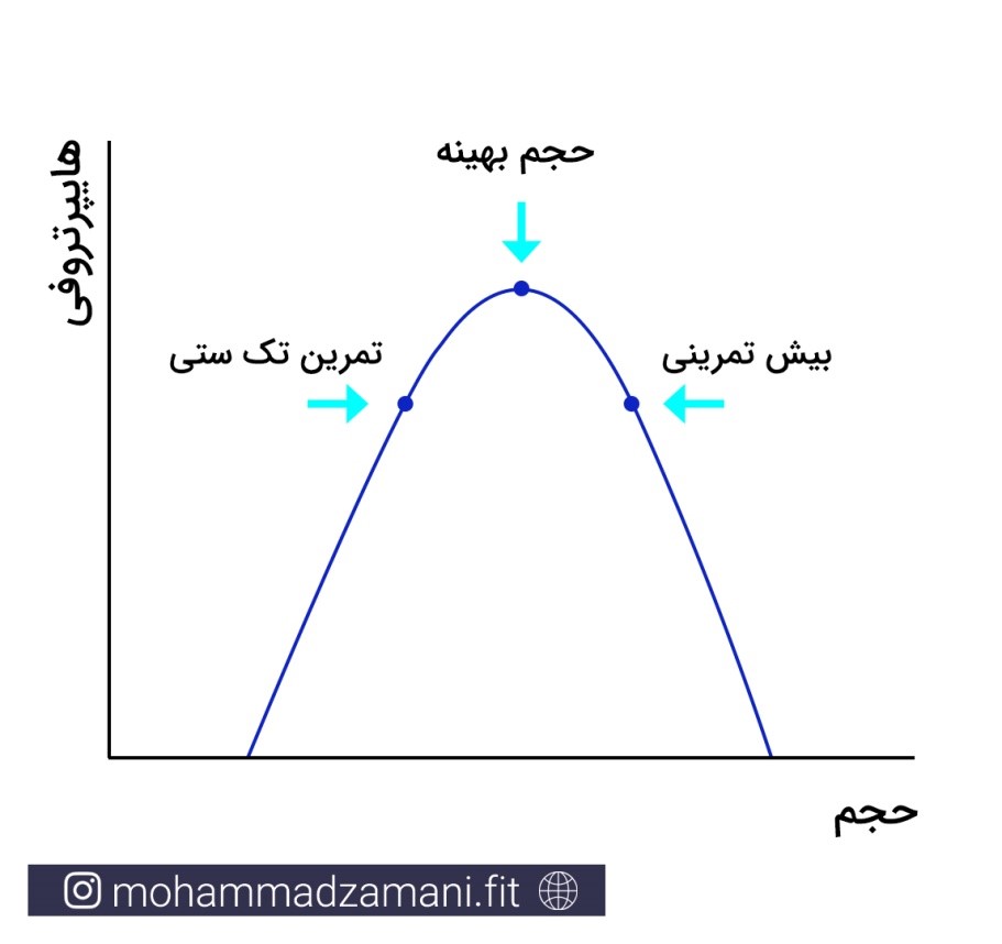 رابطه بین حجم تمرین و هایپرتروفی